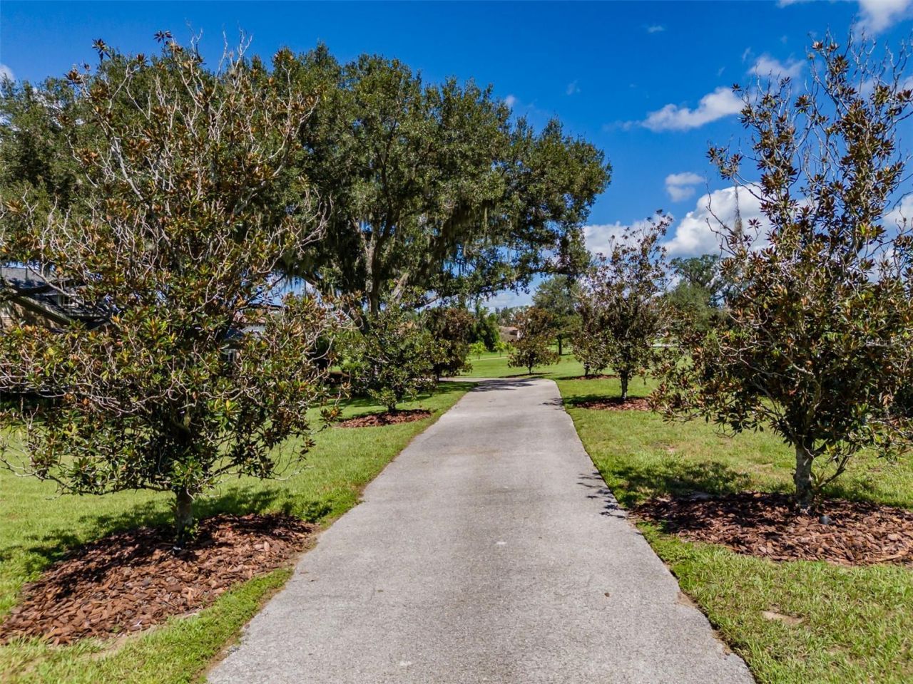 10501 Broadland Pass, Thonotosassa, FL 33592 Photo