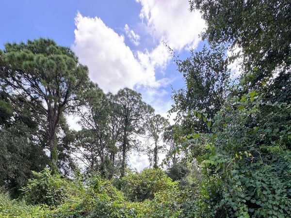 6801 Deland Avenue, Fort Pierce, FL 34951