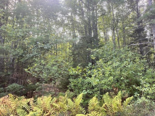 009 Morgan Bay Road , Surry, ME 04684