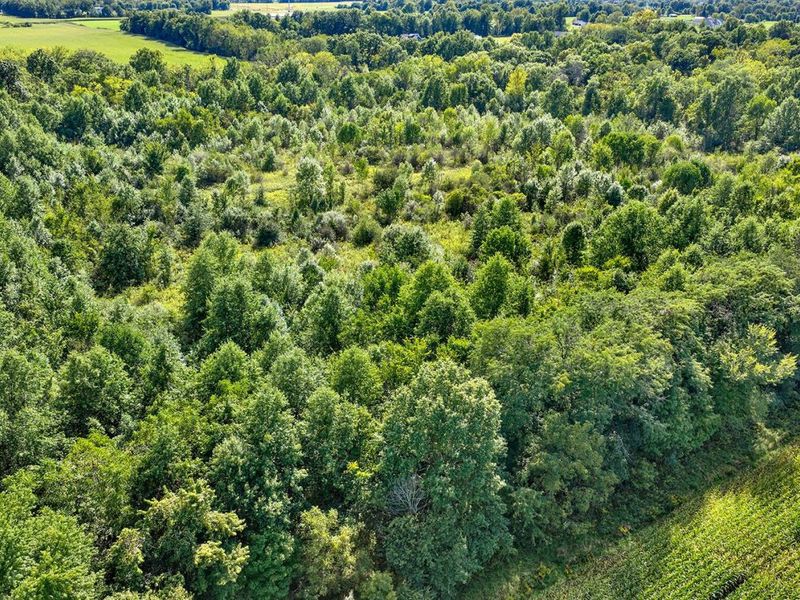 0 County Line Road, Johnstown, OH 43031 Photo 10