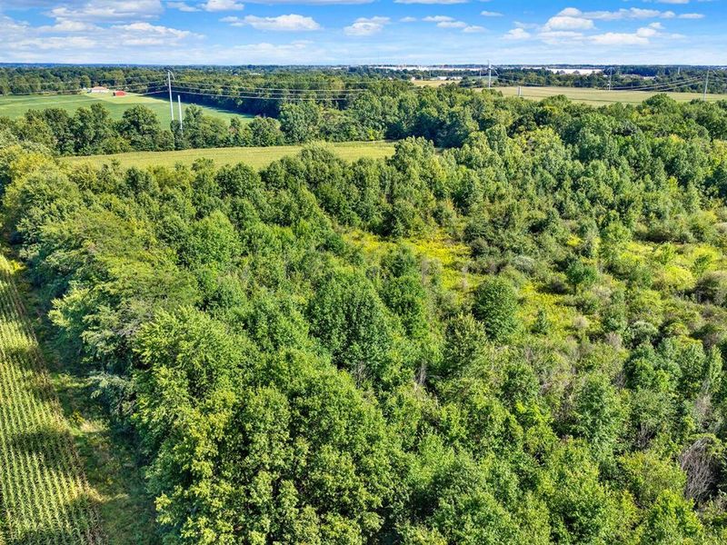 0 County Line Road, Johnstown, OH 43031 Photo 5