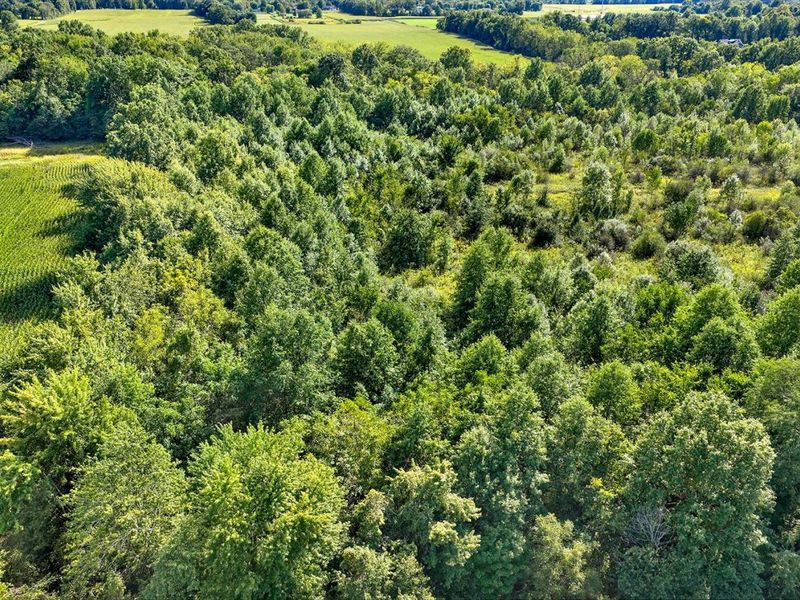0 County Line Road, Johnstown, OH 43031 Photo 9