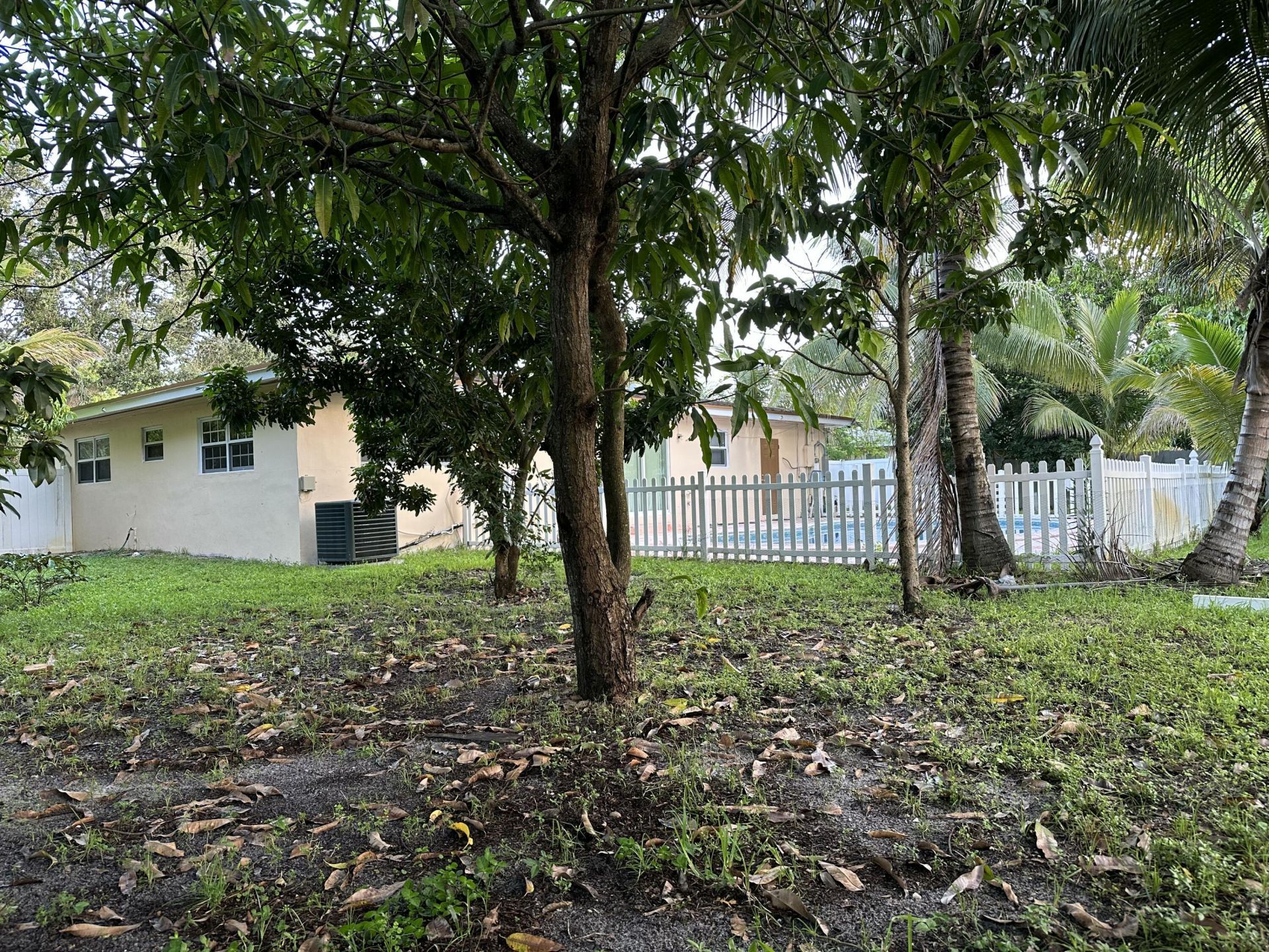 650 E Campus Circle, Fort Lauderdale, FL 33312 Photo