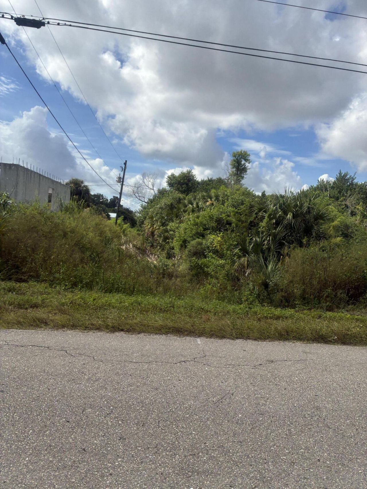 305 W 6th Street, Lehigh Acres, FL 33972 Photo