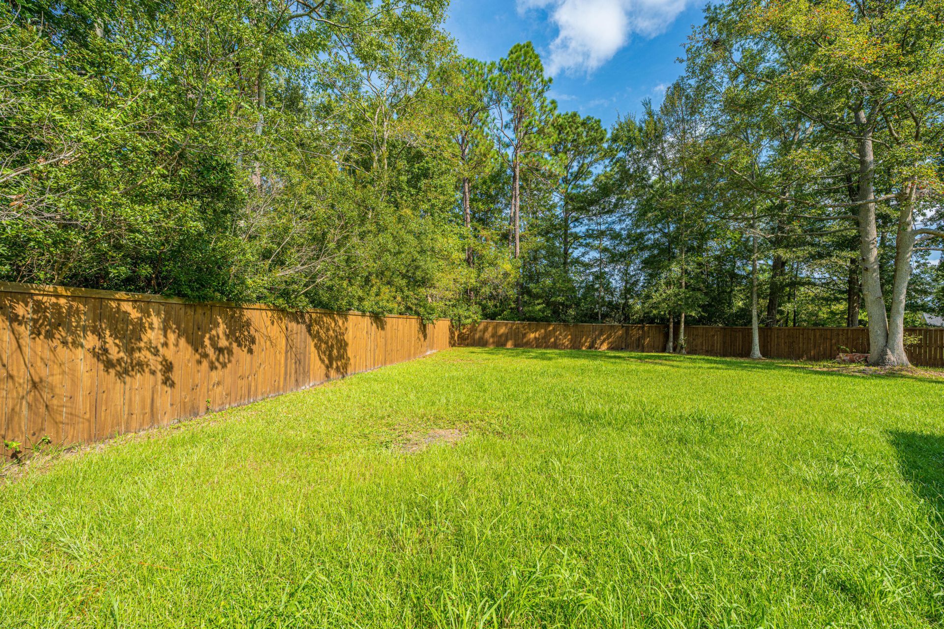 215 Hines Drive Photo 47