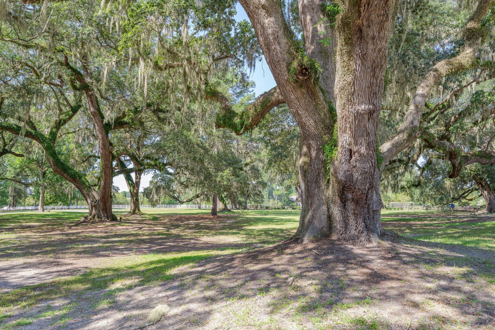 111 Phoebe Road Photo 41