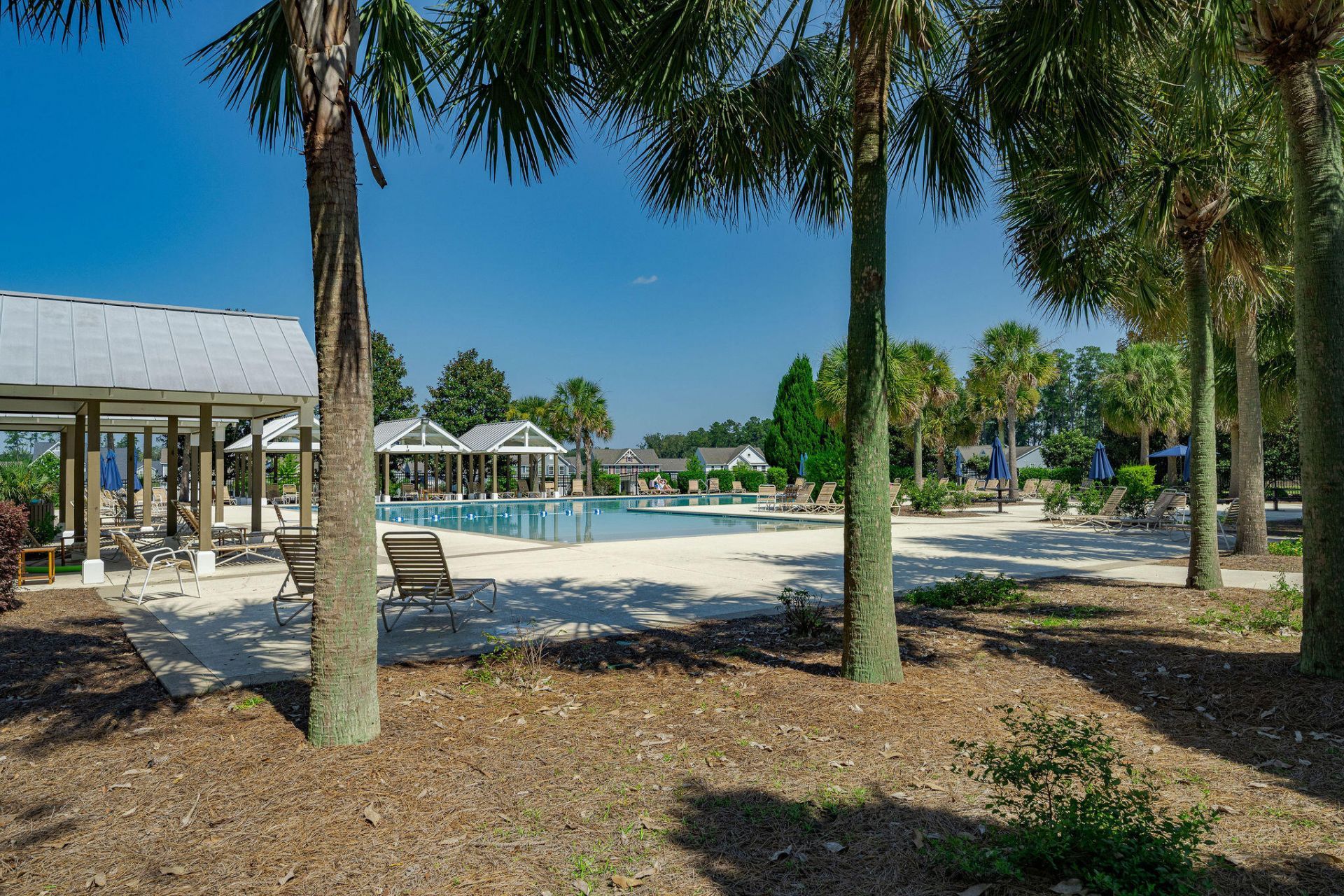 111 Phoebe Road Photo 44