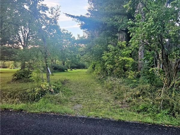 15282 Leroy Road, Thompson, OH 44086