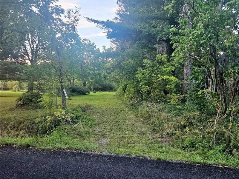 15282 Leroy Road, Thompson, OH 44086 Photo 1