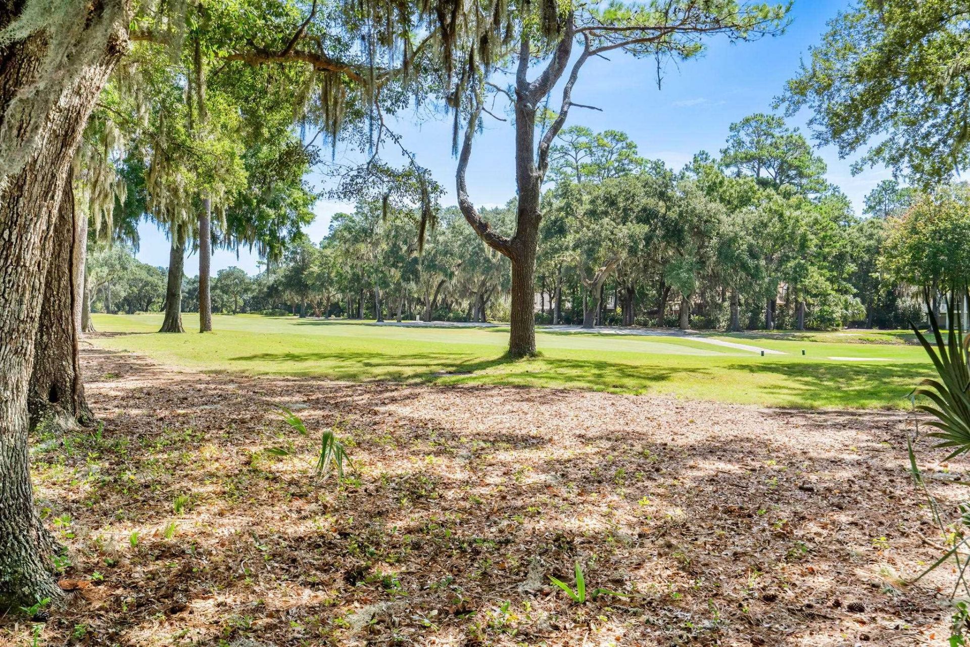 184 Summerwood Dr.  Photo 40