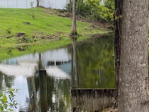 244 TARPON Boulevard, Palatka, FL 32177
