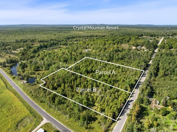 Parcel A Yates Road, Copemish, MI 49625