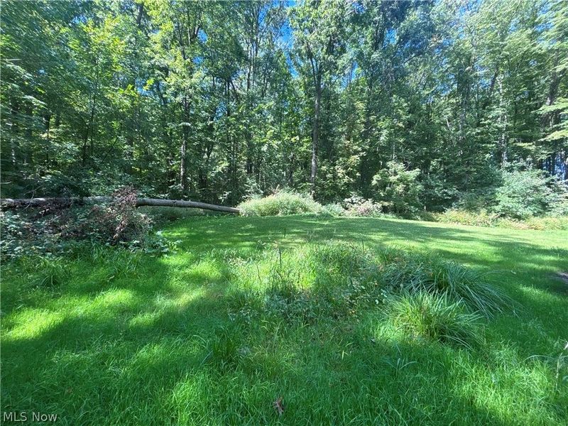 9231 Horn Road, Windham, OH 44288 Photo 40