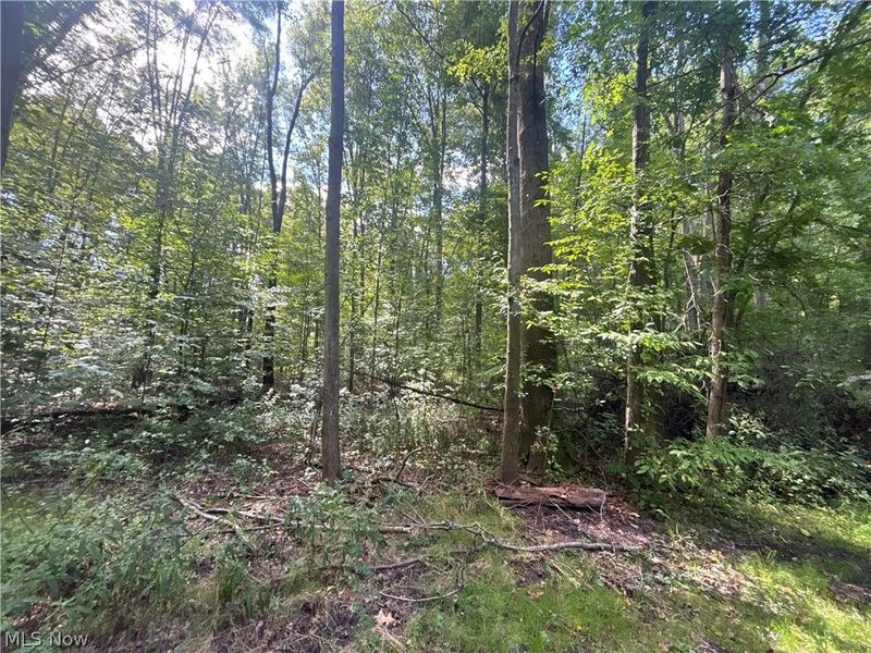 9231 Horn Road, Windham, OH 44288 Photo 42