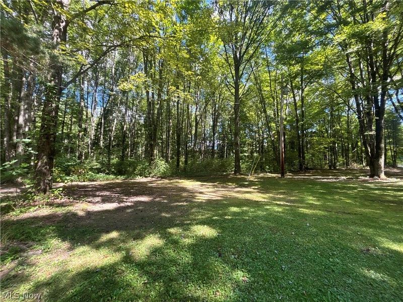 9231 Horn Road, Windham, OH 44288 Photo 44