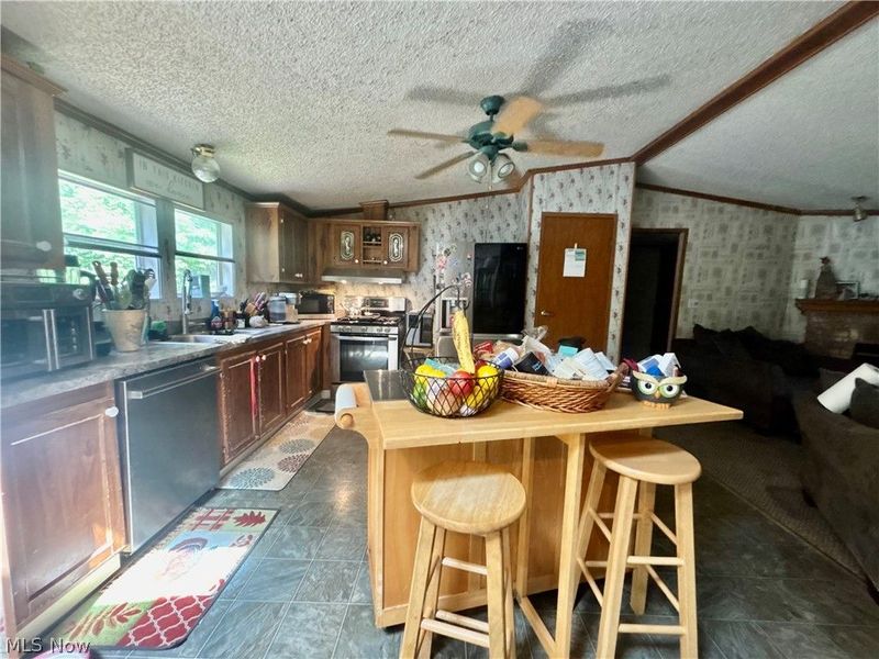9231 Horn Road, Windham, OH 44288 Photo 5