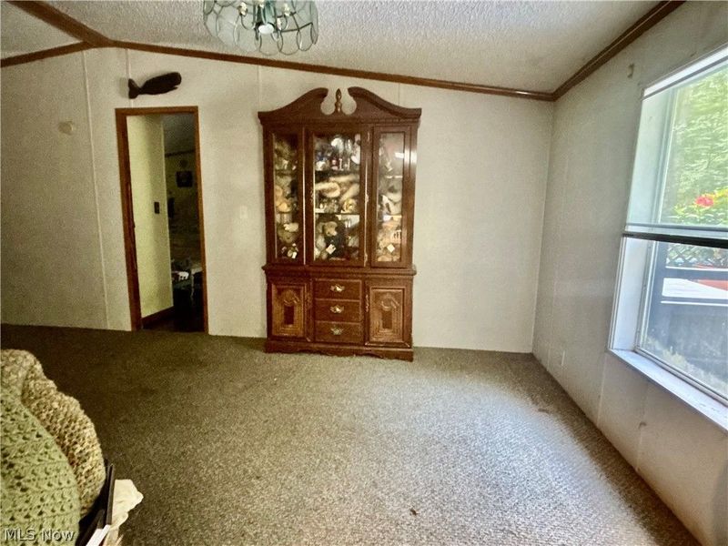 9231 Horn Road, Windham, OH 44288 Photo 8
