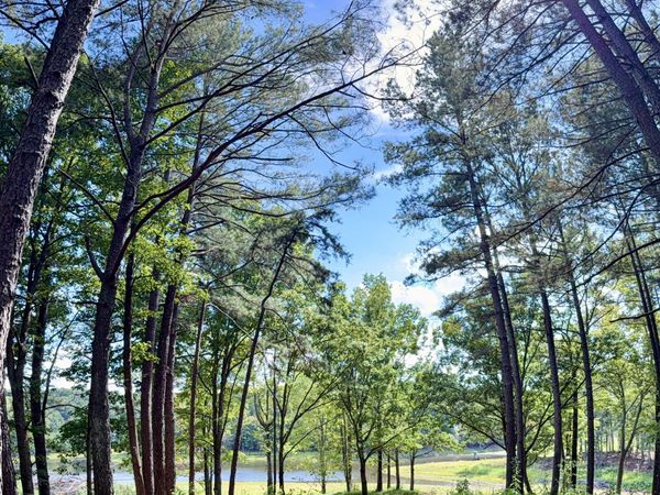 1102 Mitchell Road, Maysville, GA 30558