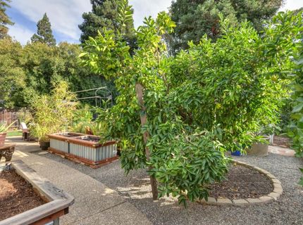 11374 New England Pl, Gold River, CA 95670 Photo