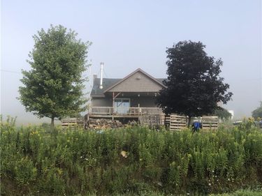 8781 Old State Road , Angelica, NY 14709