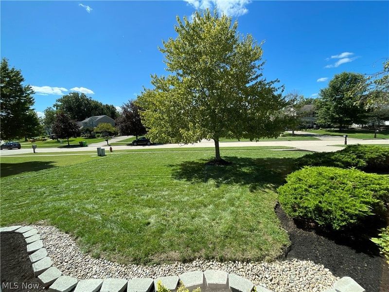 4081 Sacramento Boulevard, Medina, OH 44256 Photo 22