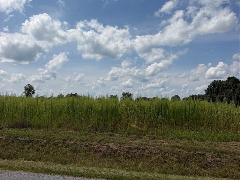 1090 Knorr Road, Galion, OH 44833 Photo 9