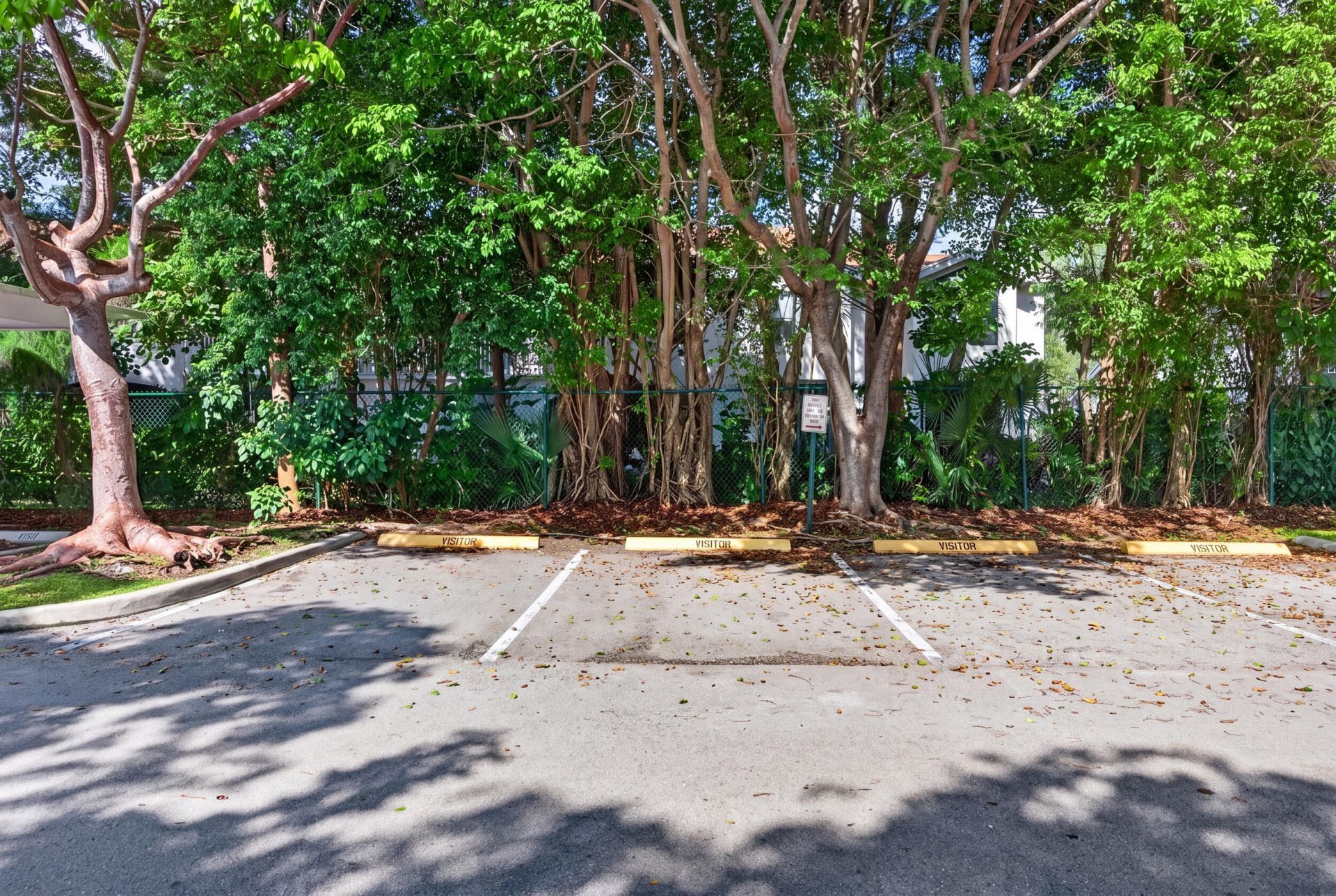 10765 Cleary Boulevard, Unit 307, Plantation, FL 33324 Photo