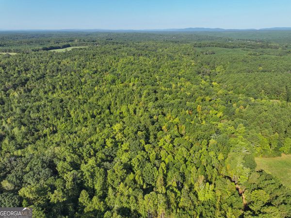 140 +/- Acres on GA Hwy 100, Buchanan, GA 30113