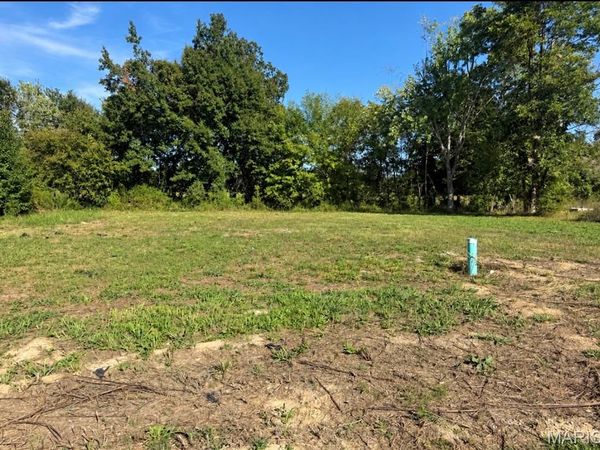 1111 Willow Street, Fredericktown, MO 63645