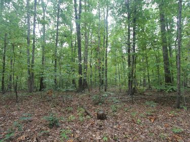 845 RACCOON RIDGE , Scottsville, VA 24590
