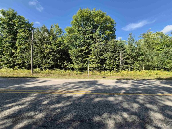 10 acres River Road, Doyle Twp, MI 49840