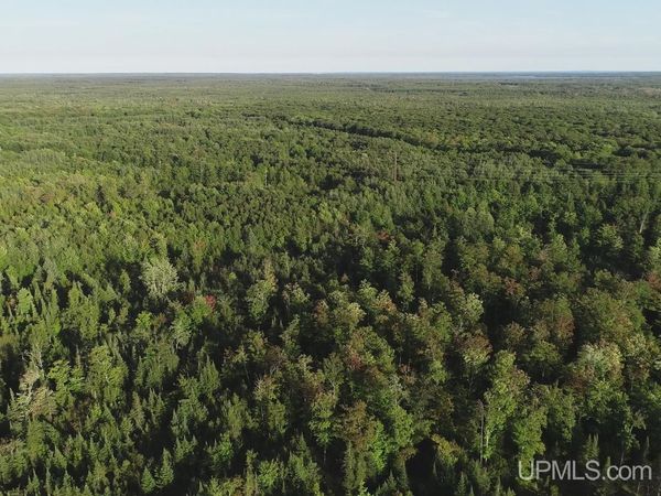 240 acres Cooper Road, Doyle Twp, MI 49840