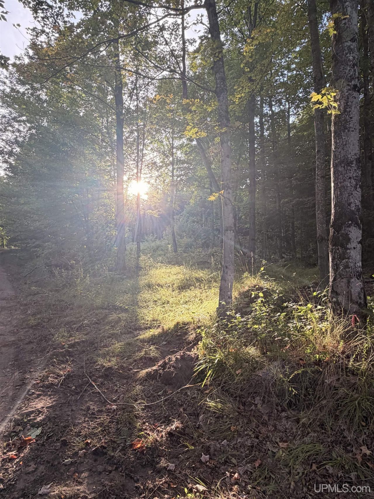 Tbd Harborview Lot 21 Drive, Au Train Twp, MI 49862 Main Photo