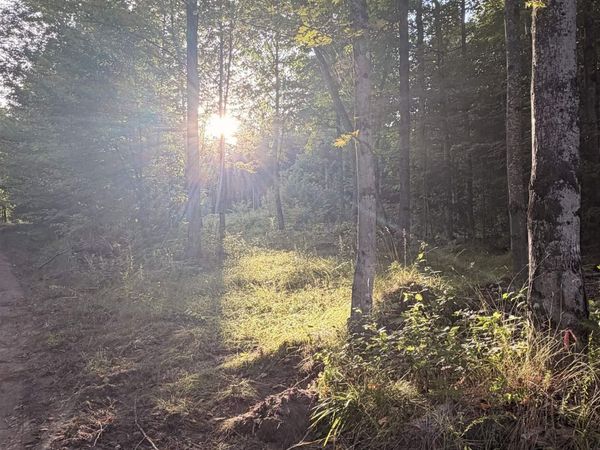 TBD Harborview Lot 21 Drive, Au Train Twp, MI 49862