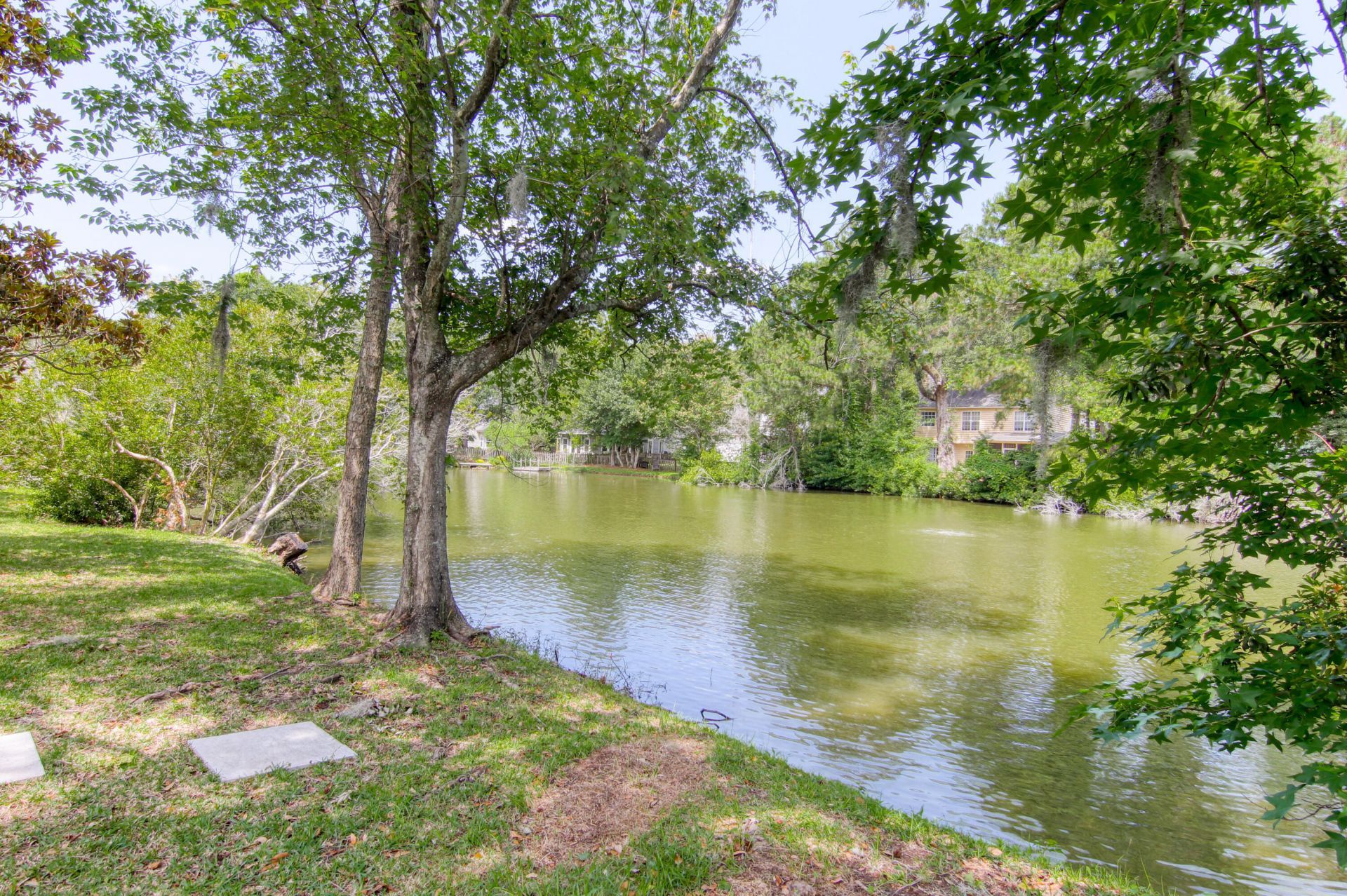 1264 Center Lake Drive Photo 33