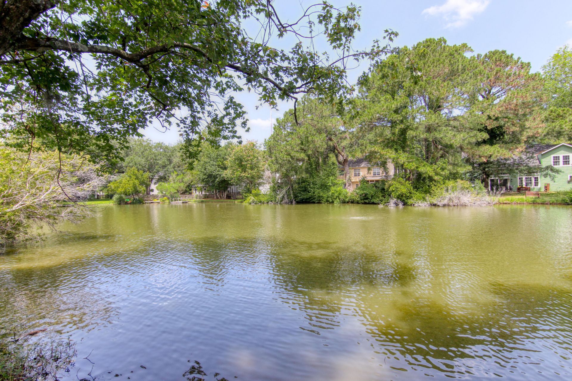 1264 Center Lake Drive Photo 4