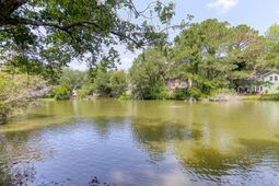 1264 Center Lake Drive photo 4