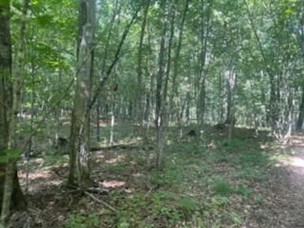 TBD Whitewater Road , Emily, MN 56447
