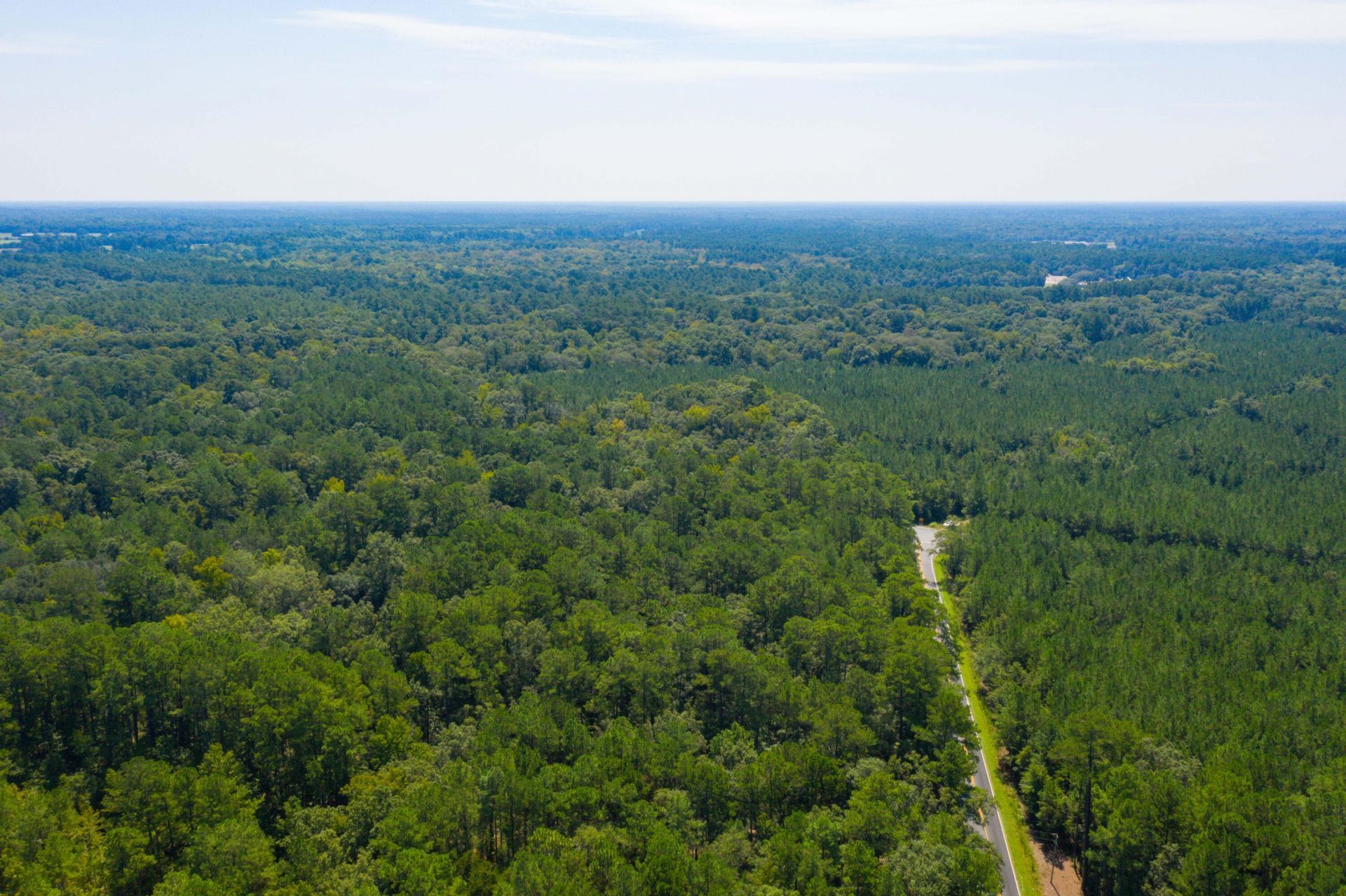 0 Dennis Britt Road  Photo 12