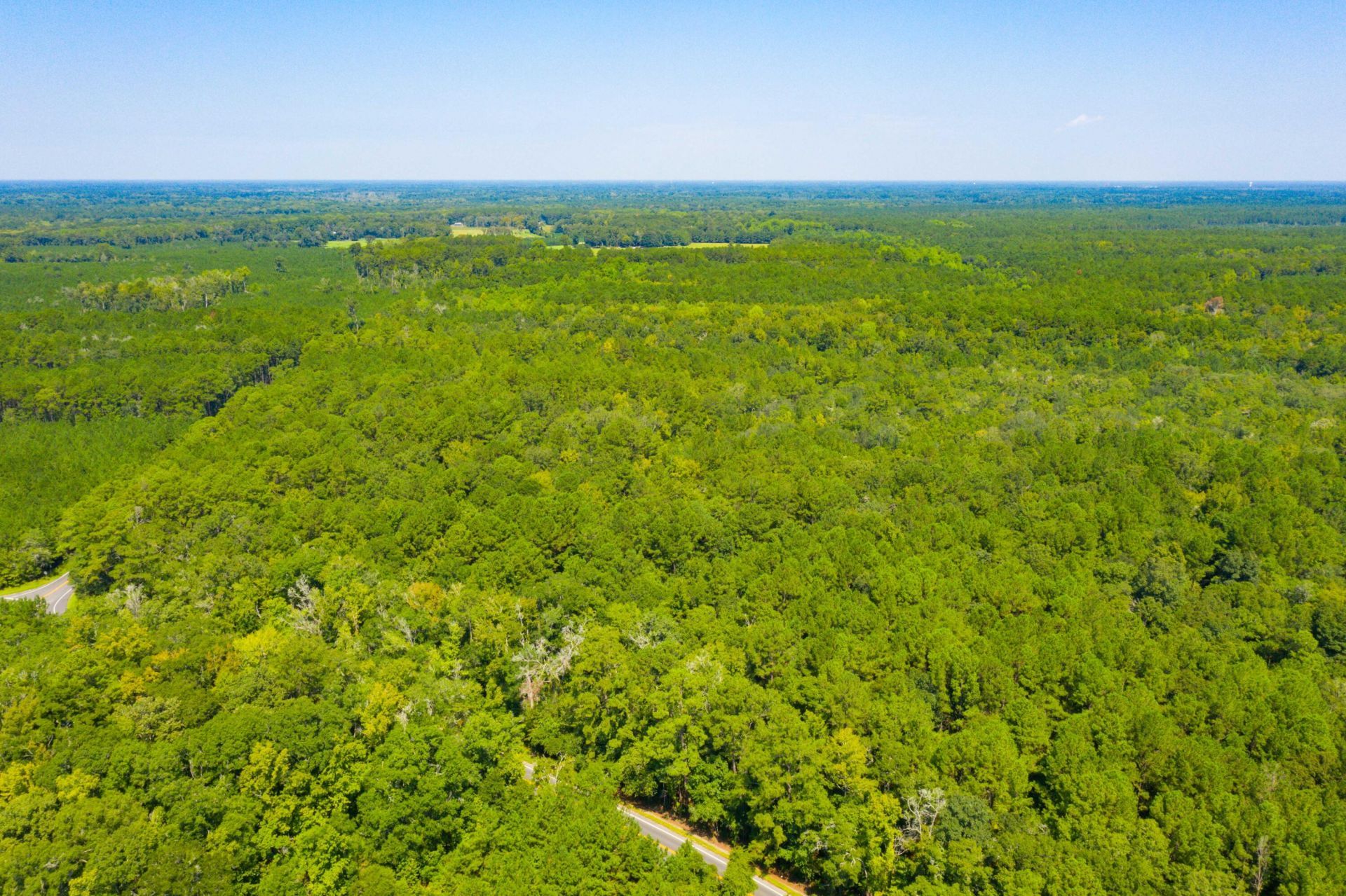 0 Dennis Britt Road  Photo 4