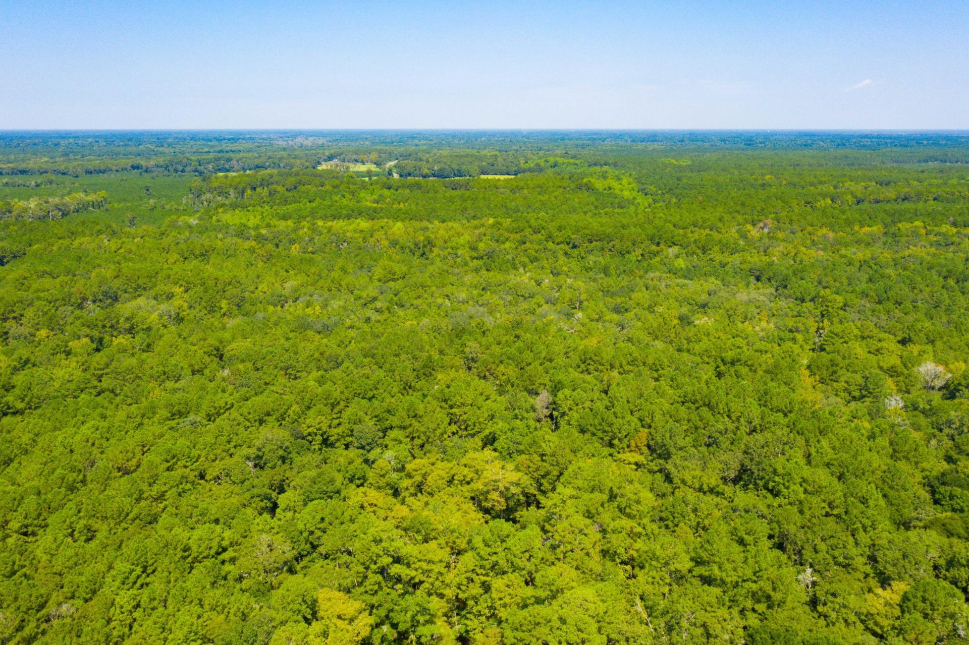 0 Dennis Britt Road  Photo 5