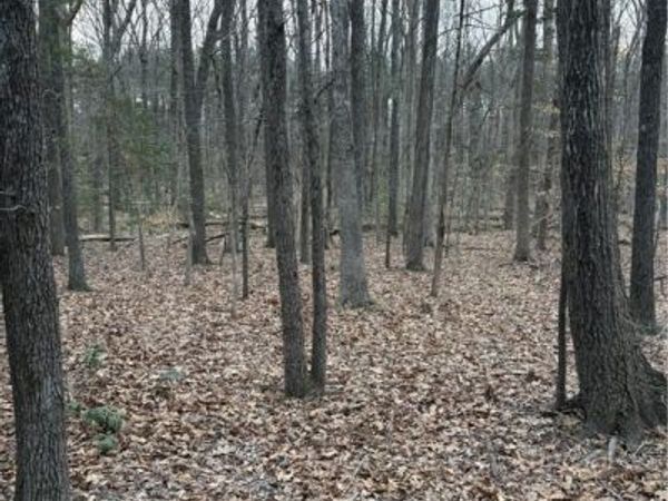 0 doswell town Road , Meherrin, VA 23954