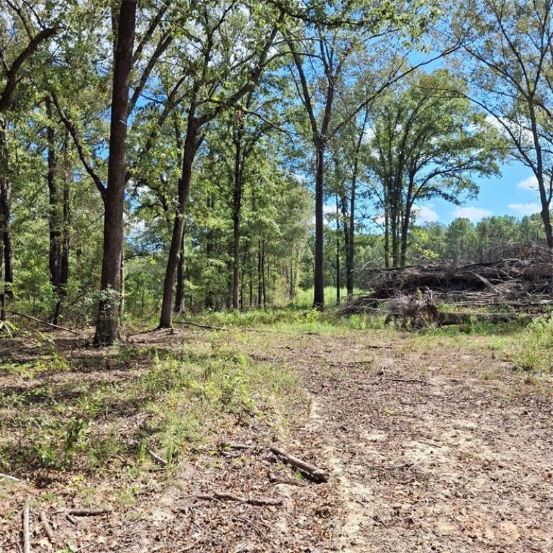1068 Goathill Road, Elm Grove, LA 71051 Main Photo