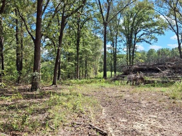 1068 Goathill Road, Elm Grove, LA 71051