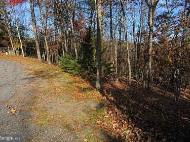 0 BRIAN DRIVE , BASYE, VA 22810