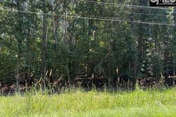 0 Wildwood Rd Extension  photo 4