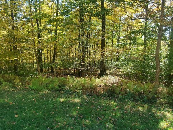 28 Bridle Way , Equinunk, PA 18417