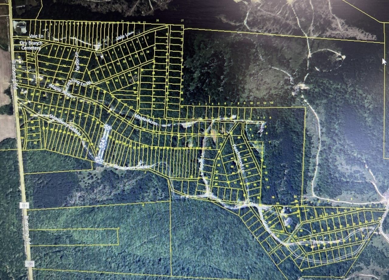0 Dry Branch Community , Holladay, TN 38341 Main Photo