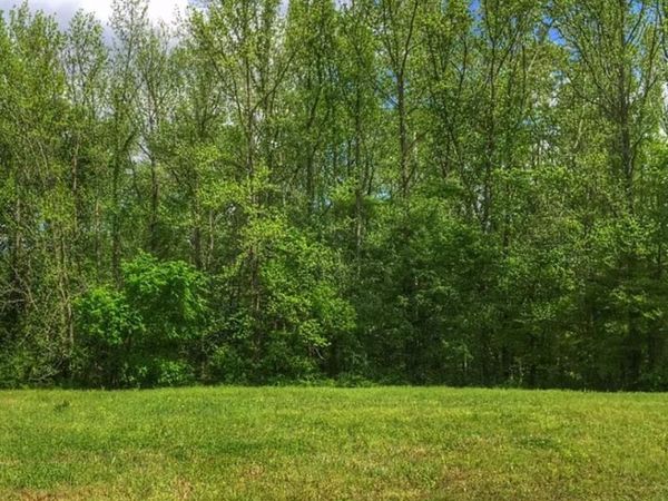 220 RIDGECREST DR, Arlington, TN 38002