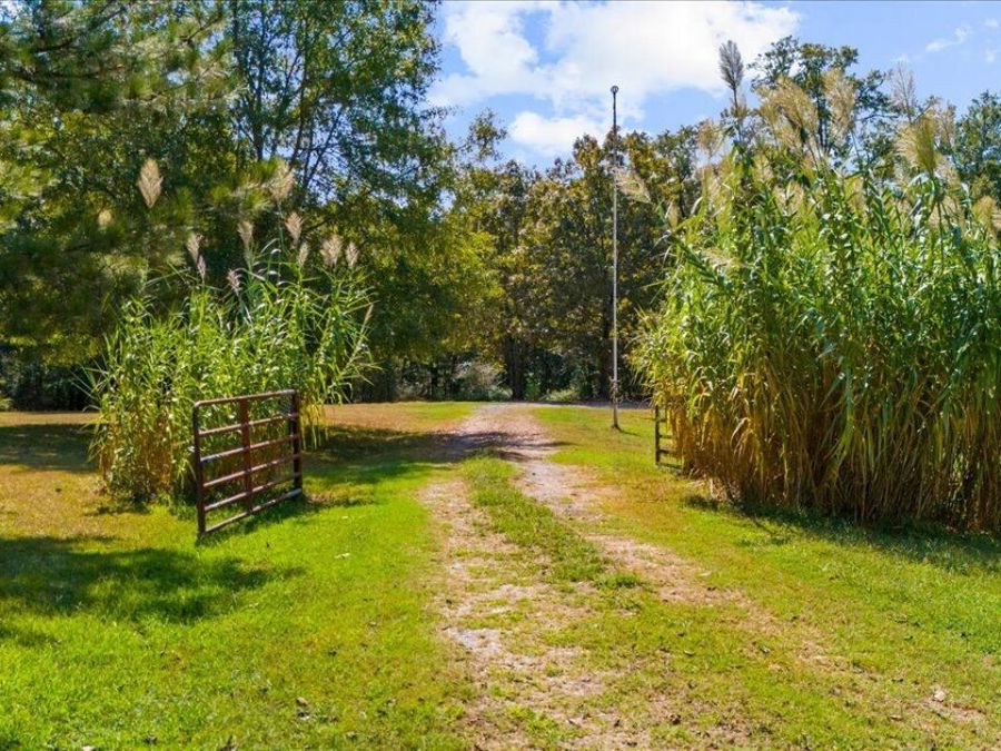 Property Image 70